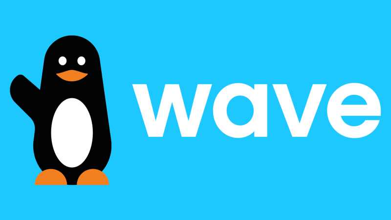Wave Payment